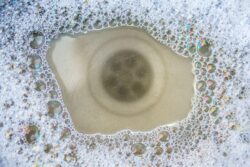 Drain Cleaning in Urbana, IL