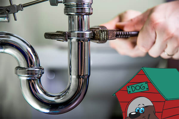 Highly Skilled Champaign Plumbing Repair