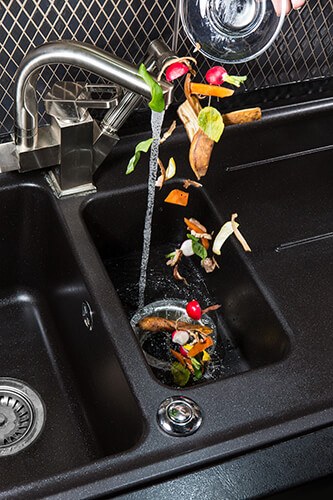 Champaign's Garbage Disposal Repair Services
